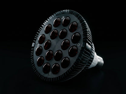 Redy Lamp